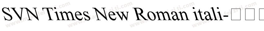 SVN Times New Roman itali字体转换
